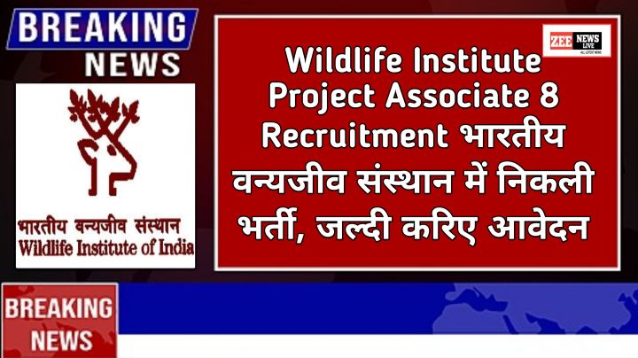 Wildlife Institute Project Associate 8 Recruitment