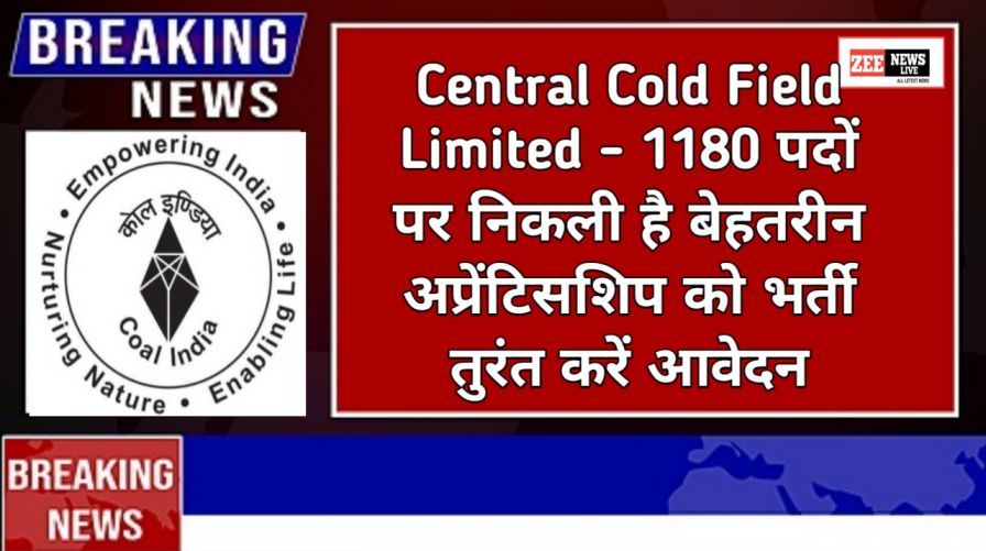 Central cold field limited vacancy 2024